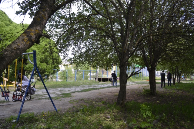 Благоустройство площадки «Яблоневый сад» в Иванове начнут со сноса яблонь