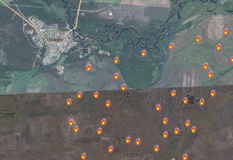 Лесной пожар в Южском районе: что видно из космоса