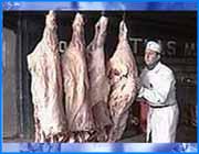 ></p><p class=c_tn></p><p class=c_tn></p><p class=c_tn>Безопасность продуктов питания в последнее время стала проблемой номер один во всем мире. Парнокопытные животные в Европе и Азии уничтожаются тысячами из-за того, что мясо заражено вирусом ящура и бешенства. Пока этот диагноз на территории России лабораторно не подтвержден. Ящура в Ивановской области не было уже в течении сорока лет. Правда в 1987 году была угроза заражения этим вирусом с территории Ярославской области. Тогда все обошлось. Сейчас же, по мнению главного ветеринара Ивановской области, угроза распространения идет не из Европейского сообщества, а из Азии. Тенденция распространения непредсказуема, дать 100% гарантию, что завтра не будет - никто на это не пойдет.  Ящур - болезнь вирусная. Распространяется она очень быстро с охватом большой территории. Человек может заразиться ящуром через сырое молоко, воздушно-капельным путем и при непосредственном контакте с больным животным.  Вирус довольно устойчив. В зимнее время во внешней среде он сохраняется намного дольше, чем летом. Ветеринарная служба области, чтобы предотвратить распространение ящура, проверяет все продукты, поступающие из других регионов. И пока поводов для паники нет. Сейчас идет работа по выявлению партий мяса из Франции, из неблагополучных провинций, фактов присутствия зараженного мяса на территории Ивановской области не выявлено.</p><p class=c_tn>На ивановских рынках торгуют в основном мясом из нашей области. Прежде, чем поступить в розничную торговлю, например, на прилавок центрального рынка, оно трижды проходит контроль ветеринарной службы. Сначала - предварительный осмотр в животноводческом хозяйстве, потом на районной вет.станции и только потом - в лаборатории ветеринарно-санитарной экспертизы. </p><p class=c_tn>Свинину проверяют еще и на трахенелез. Что касается злополучного ящура, его признаки таковы - язвы на конечностях  и морде животного. Но таких случаев, ветеринары к счастью пока не обнаруживали. Между тем,  в торговом комплексе, в народе называемом центральным рынком, продажа мяса идет полным ходом. И у покупателей нет оснований опасаться подхватить неприятную болезнь.</p><p class=c_tn></p>
	
		<div class=