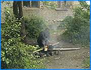 ></p><p class=c_tn>Ивановцы уже привыкли к отключениям электроэнергии. С сегодняшнего дня Ивановогоргаз также начинает бороться с неплательщиками. Жители трех многоквартирных домов по улице Некрасова, с которых начались отключения газа, не захотели с этим мириться. В девять утра аварийная служба Горгаза перекрыла вентиль, через который топливо идет сразу в три многоквартирных дома. Жильцы не отходили от газовщиков ни на шаг. Пенсионеры возмущались тем, что в списках должников оказались умершие и отсутствующие. Объяснение «Горгаза» было таким:  при расчетах за отопление оплачивается не число потребителей, а квадратные метры жилплощади. Если даже никто не живет, то она отапливается. Газ расходуется на отопление жилплощади, на которой никто не живет.</p><p class=c_tn>Такой расклад жильцов не устраивал. Представления о справедливости  подсказывали, что наказывать можно только должника. Фаина Васильевна в мае за газ переплатила сто рублей и не понимает, почему она должна страдать.</p><p class=c_tn>С приездом главного инженера Горгаза ситуация стала проясняться. Список должников  стали проверять по каждому в отдельности. Оказалось, что домоуправление не представляет изменений в составе квартиросъемщиков и списки сильно расходятся с реальностью. Было решено пройти по квартирам неплательщиков, отключить их от газа, а для остальных подачу топлива возобновить. </p><p class=c_tn>Результата это не дало, но выяснилось, что газ можно перекрывать по стоякам. Газовщики так и поступили. При включении газа необходимо было убедиться, что запальники в котлах не горят, иначе взрыв был бы неминуем. Одна из квартир оказалась заперта. Но желание соседей получить газ было так велико, что они рискнули залезть в нее через окно. В общем, акция Горгаза возымела свое действие, хотя мера эта вынужденная.  </p><p class=c_tn>Работникам Горгаза в подобных случаях приходится тяжелее, чем энергетикам. Для того, чтобы отключить потребителя, им часто приходится видеться с ним лично. А такие встречи не всегда проходят удачно.</p><p class=c_tn>Были случаи рукоприкладства, собак спускали.</p><p class=c_tn>Сейчас извещения об отключении газа  висят еще на тринадцати Ивановских домах. </p>
	
		<div class=
