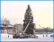 ></p><p class=c_tn>На Кокуе установили главную городскую елку. Доставили символ любимого народного праздника еще на прошлой неделе, а уже сегодня во время того, как елку наряжали, произошел довольно курьезный случай. В результате в течение полутора часов двое рабочих в двенадцатиградусный мороз находились на высоте трехэтажного дома и не имели никакой возможности спуститься на землю. На Кокуй главную городскую елку привезли из Талицкого лесничества. Ее высота - 22 метра.  Возрас - примерно 60 лет. В человеческом измерении целое поколение, ель же в этом возрасте только начинает активно расти. Для перевозки зеленой красавицы использовали специальный трейлер и везли ее с особыми предосторожностями - хотели сохранить в первозданном виде, что в общем - то удалось, лишь несколько веток сломалось. Поставили елочку без особых хлопот, но что за новогодняя елка без звезды на макушке. Двое рабочих на  спецкране стали подниматься, чтобы звезду эту закрепить. Добраться успели ровно до середины, с краном что-то произошло и он остановился. Через полтора часа приехал еще один подъемник и ребят с вышки все-таки сняли. Звезда осталась в одиночестве - ее закрепят, вероятно, позже. Рабочие скрылись в теплом вагончике. Об их самочувствии ничего выяснить не удалось: стеснительные парни. А на елку уже можно посмотреть - стоит красавица. </p>
	
		<div class=