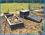 ></p><p class=c_tn>На кладбище в местечке Балино вновь отмечены случаи вандализма. В начале июня в результате хулиганских действий подростков были осквернены несколько могил. На многочисленные заявления работников кладбища о случаях вандализма правоохранные органы не реагируют. </p><p class=c_tn>Почти каждый день заведующая кладбищем Балино Любовь Зенцова совершает обход подведомственной территории. И каждый месяц за последние полгода работниками кладбища регистрируются многочисленные случаи вандализма. Хулиганы ломают деревянные кресты, крадут надгробные металлические памятники и разбивают гранитные плиты. Последний случай произошел 3 дня назад. Посетители кладбища сообщили сторожу, что слышали у могил громкий стук и треск. </p><p class=c_tn>Хулиганами оказались подростки 13-14 лет. Вандалы в поисках цветного металла уронили большой гранитный памятник. Вырвали буквально с корнем лавочку из нержавейки. Разбили несколько гранитных плит. Покосившийся крест из металла вытащить не успели: помешал все тот же сторож. У сотрудников кладбища появляются вопросы к милиции, почему те не реагируют на вызовы.</p><p class=c_tn>По словам Любови Зенцовой, в ближайшее время силами работников кладбища поднять этот тяжелый памятник не удастся. Известить родственников покойного трудно - невозможно прочитать надгробную надпись. Чтобы восстановить последствия разбойного погрома, потребуется около 4 тысяч рублей. Лишних денег в местной казне нет. Кто будет возмещать ущерб, неизвестно.  </p>
	
		<div class=