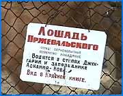 ></p><p class=c_tn>Солидное пополнение прибыло сегодня ночью в Ивановский Зоопарк. Утром  двух лошадей Пржевальского и  пару лебедей разместили по новым квартирам. Самые большие, заметные и к тому же редкие животные - занесенные в Красную Книгу лошади Пржевальского. Ивановскому зоопарку их предоставили московские коллеги. Лошадкам - два года, по лошадиным меркам они еще подростки. В неволе они размножаются хорошо, тем более что в дикой природе встретить лошадь Пржевальского практически невозможно.  На новое место жительства фургон с редкими животными сопровождала машина ГИБДД, а чтобы жеребята легче перенесли поездку, им ввели снотворное. Пока на новом месте они чувствуют себя гостями и стесняются камеры.   Из далекого Краснодара к нам привезли пару лебедей . Они уже не гадкие утята, но еще и не прекрасные - все перья станут белыми, когда они повзрослеют. После карантина их выпустят в вольер с водоемом. Сейчас же посетители могут полюбоваться на симпатичных лошадок Пржевальского.</p>
	
		<div class=
