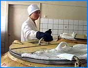 ></p><p class=c_tn>5 октября областная станция переливания крови отправит специальные препараты для лечения детей из Беслана. Пятнадцать литров альбумина приготовлены из крови, собранной в ходе акции, которую организовали сразу после трагедии в Северной Осетии. У этой акции не было, да и не могло быть какого-то специального названия. На следующий день после трагедии в Беслане на станции переливания крови телефон был буквально раскален. Люди хотели сдать кровь для детей из Северной Осетии. Звонили сотрудники промышленных предприятий, организаций, больниц, - звонили не сговариваясь. Сейчас, когда акция закончилась, главный врач станции Юрий Тюриков понимает, что люди были очень искренни: «Была фирма коммерческая, которая просила не называть себя. Но они так хорошо провели день донора. Кроме того, приходили обычные граждане, говорили: мы хотим сдать кровь. В день было человек по 5-6, а один день даже 23 человека».  </p><p class=c_tn>Директор НИИ материнства и детства Любовь Посисеева позвонила на станцию одной из первых. Вместе с ней еще сто шестьдесят пять сотрудников института сдавали кровь и собирали деньги. Рассказывает об этом неохотно. Считает, что так поступали не только врачи. Каждый в те дни хотел как-то помочь.    </p><p class=c_tn>«Мы собрали деньги в пределах где-то 20 тысяч. Это сотрудники собирали средства. Ну и было желание нам сдать кровь. Тем более мы знаем как обстоят дела с кровью, и у нас и в других регионах. Везде. Нужно большое количество крови, чтобы приготовить нужные препараты крови», - рассказывает Любовь Посисеева.</p><p class=c_tn>Сейчас на станции переливания заканчивают расфасовку альбумина. Из крови более пятисот человек, принявших участие в акции, удалось изготовить пятнадцать литров этого препарата.  </p><p class=c_tn>«Вы знаете, сейчас в службе крови есть направление  - лечить не кровью, а препаратами. Потому что они на 100% не активированы. И никакие вирусные инфекции через кровь не передаются. И действие у них гораздо выше, чем у препарата крови», - говорит Юрий Тюриков.</p><p class=c_tn>Во вторник, 5 октября альбумин отправят в Москву. Столичные врачи уже поблагодарили ивановцев. Говорят, что сейчас такая помощь детям из Северной Осетии крайне необходима. </p><p class=c_av>Андрей Кузьмичев</p>
	
		<div class=