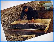 ></p><p class=c_tn>Представители международной поисковой экспедиции Долина обнаружили останки еще двух солдат-ивановцев, которые считались без вести пропавшими в годы Отечественной войны. В последние дни в Пучежском районе удалось найти и родственников этих солдат. Об этом стало известно в ходе областной краеведческой конференции школьников. </p><p class=c_tn>Областная краеведческая конференция школьников проходит ежегодно, но в этот раз на нее привезли сообщения, которые нигде прежде не звучали. Порой школьники пытались превзойти профессиональных историков ивановского края двух минувших веков. И доказать, например, что дата первого упоминания Иванова неверна, и принадлежало оно не Черкасским, а потомкам освободителя Москвы Скопина-Шуйского. Школьница из Кинешемского района опрашивала местных жителей, чтобы узнать, как жили бедняки и кулаки в их селе, и что стало с этими людьми. Нетрадиционная история войны открывалась в сообщении о переписке фронтовика со своими родственниками. Военную тему в год шестидесятилетия победы тоже не забыли. Учитель из Пучежа привез стенды с рассказом о работе поискового отряда из числа подопечных ему школьников. </p><p class=c_tn>Пучежские школьники участвуют в международной экспедиции. Они ищут погибших, но незахороненных солдат второй мировой. Каждый год ездят по местам боев второй ударной армии, в которой воевали и пучежане. Минувшим летом в Новгородской области они нашли и передали на захоронение останки 12 советских и одного немецкого солдата. По уцелевшим медальонам ищут родственников погибших. В этом помогают связи с отрядами из других областей. В последние годы у 18 жертв войны обнаружены семьи или потомки, которые не знали об их судьбе. Только что нашлись родственники еще одного бойца. Его довоенный адрес - село Кандаурово под Пучежем - был указан в солдатском медальоне. «Он числился пропавшим без вести в своем районе - и на нас вышел отряд из Московской области. Мы нашли родственников по медальону, буквально вчера. Стоило только позвонить директору Кандауровской школы, очень хорошо знакомой мне - и нашли сестру. Ей 80 лет, скоро поедем туда», - рассказывает Виктор Егоров. </p><p class=c_tn>На следующей неделе поедут и в село Затеиху, под тем же Пучежем - и там нашлась семья погибшего фронтовика. Виктор Егоров начинал с поисков своего деда, ушедшего на войну со складнем. И нашел останки с точно таким же, а может быть, тем самым образком, пробитым осколком снаряда. Теперь с учителем по местам былых боев ездят его ученики. Они  уверены, что занимаются важным делом - подводят черту под второй мировой. </p><p class=c_av>Василий Когаловский</p>
	
		<div class=