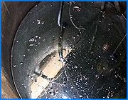 ></p><p class=c_tn>Жители нескольких кварталов в районе улицы Некрасова обеспокоены вредными выбросами с территории соседнего предприятия. Люди лишились возможности использовать воду из своих колодцев и скважин. По улицам и дворам в дождливую погоду текут черные ручьи. Концентрация вредных веществ  в десятки раз превышает допустимые нормы. </p><p class=c_tn>Весной в корпусах, предназначавшихся для фабрики Трудовая коммуна началось оживление. Пришли новые хозяева. Фирма Автопластик открыла механический цех , который шумит так, что среди дня просыпаются и плачут дети в соседних домах. Началась и присыпка площадки под автостоянку у самых огородов, без всякой санитарной зоны. Но завезли не грунт, а, как полагают жители, содержимое зольника с ТЭЦ. Теперь при каждом сильном дожде под уклон, к домам и огородам текут черные ручьи - на расстояние целого квартала. Специалисты провели анализ. Он показал, что концентрация меди в таком ручье превышена в 160 раз, цинка почти в 30. Марина Римская живет в этом районе уже много лет, вся эта ситуация вызывает у нее шоковое состояние: «И осадок - она была полностью черной, с взвесью, с хлопьями. Они не смогли  ее даже отфильтровать. Но самое неприятное будет весной, во время таяния снегов. Нас затопит здесь вообще. Мало того, что сама по себе теперь выше  будет вода стоять, а тут весной и так были  периодически такие неприятности. Теперь приходится ждать вплоть до того, что вода будет стоять вообще в комнатах у людей».  Вода в дворовых колодцах, глубина которых шесть метров, с весны для питья непригодна. У нее неприятный запах. На поверхности маслянистая пленка и пузыри. Жители говорят, что теперь воду они могут использовать только для технических нужд. Нормальную же питьевую воду приходится покупать в магазинах. До колонки с плохой  водой - двести метров, с относительно нормальной - еще столько же. Для пожилых это большое расстояние, провести же водопровод стоит почти 20 тысяч рублей.</p><p class=c_tn>Контролирующие органы пока изучают ситуацию, одно из них готовит предписание о том, чтобы фирма Автопластик убрала со своей площадки нынешнюю засыпку и заменила ее другой. А люди уже болеют - начались проблемы с кожей. У годовалого ребенка врачи обнаружили кишечную палочку неизвестного происхождения, полагают, что от воды. Начали умирать от рака кошки и собаки. Это район с самой высокой в городе смертностью животных от онкологических болезней. Даже кошек хорошие хозяева здесь поят только покупной водой. </p><p class=c_tn></p><p class=c_av>Василий Когаловский</p>
	
		<div class=