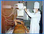 ></p><p class=c_tn>По мнению начальника областного управления здравоохранения Эммы Рябовой, необходима областная целевая программа по замене рентгенорадиологического оборудования. Однако этот вопрос чиновники областной администрации на очередном заседании решили сначала доработать. </p><p class=c_tn>Медики говорят о ситуации в лучевой службе области как о кризисной. Оборудование для рентгеновского обследования устарело на 90 %. Это уже опасно и для врачей, и для пациентов. Кроме того, если в срочном порядке не заменить аппаратуру, вырастет число онкологических заболеваний - считают медики. Поэтому сейчас, по словам начальника областного управления здравоохранения Эммы Рябовой, важно решить финансовые вопросы, связанные с приобретением нового рентгеновского оборудования: «Естественно это связано с такими большими затратами, программа рассчитана на 5 лет – это 559 миллионов рублей, из которых 85 миллионов это уже бюджет 2006 года. Конечно, не сразу, естественно хотелось бы, чтобы это было сразу, но таких денег область естественно никогда не найдет, поэтому если все это будет сделано хотя бы в течение пятилетнего срока, то это будет большой плюс».</p><p class=c_tn>Еще один больной вопрос - приобретение магниторезонансного томографа. Для покупки тоже необходимы немалые средства. Деньги на это тоже заложили в программу. Но, по мнению вице-губернатора Юрия Токаева, ее должны сначала обсудить те, от кого зависит принятие решения: «Достаточно капиталоемкая программа, но вот сам порядок подготовки ее, честно говоря, вызывает определенные нарекания, потому что на серьезном уровне она не обсуждалась: ни с ГУЭРИТом, ни со мной».</p><p class=c_tn>Однако окончательное решение по суммам и срокам должны будут принять депутаты Законодательного собрания. Уже следующего созыва. </p><p class=c_av>Марина Четверткова</p>
	
		<div class=