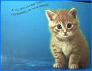></p><p class=c_tn>Социальная реклама - что это такое и как она способна влиять на ментальность горожан. На эти вопросы решили ответить организаторы выставки социальной рекламы, которые открылась сегодня в Иванове. Часть работ выполнена студентами ГИТИСа. Экспозиция тем более актуальна, что ивановские власти намерены форсировать процесс внедрения этого вида наглядной агитации.</p><p class=c_tn>По словам организаторов выставки, социальная реклама, как минимум, призвана спасать будущее. У представленных работ нет объединяющей темы: здесь и чистый город, и семейные отношения, и засаленные прессой темы наркомании и табакокурения. Моралистических зарисовок, как их назвал кто-то из посетителей, около 50, но в каждой из них - срез человеческой мысли. Выставку можно назвать передвижнической - она уже побывала во многих городах России, висела в Государственной думе и в союзе кинематографистов, но именно о такой беспокойной  жизни для своих творений мечтали студенты ГИТИСА.  Сегодня представлены работы только этого года, но по признанию организаторов, некоторые из них уже заслужили  внимание потенциальной публики. А критерии  воздействия здесь особые.</p><p class=c_tn>«Работа, например, с этим рыжим котенком. Потому что все сначала: «какой котик!» А потом читают: «А то, что на вас надето это случайно не моя мама?» И у всех такой шок происходит и я понимаю, что эта работа как раз  и заставила задуматься» - сказала доцент кафедры социальной рекламы ГИТИС Галина Вельская.</p><p class=c_tn>Работ ивановских студентов не представлено. По мнению одних - в Иванове не хватает средств для создания и размещения подобной рекламы, другие  сомневаются, что причина только в этом. И приводят в пример конкурс «Раскрась мир в свои цвета».</p><p class=c_tn>«Я думаю, что в первую очередь не хватает креатива, потому что конкурс «Раскрась мир в свои цвета» - это больше детский конкурс. Вот. Конечно, есть хорошие работы, в том числе по антинаркотическому направлению, вот. Как-то средства находят ля издания, для создания плакатов каких-то, но опять же, все это носит локальный характер» - сказал начальник группы межведомственного подразделения службы наркоконтроля Андрей Пронькин.</p><p class=c_tn>В будущем году, по признанию председателя городской думы,  в Иванове появятся сразу несколько плакатов социальной направленности. Пока нет своих достойных проектов, будет сотрудничество с ГИТИСом, но о том, что в городе воспитают свои креатив, гости были уверены. </p><p class=c_av>Наталья Мозилова</p>
	
		<div class=