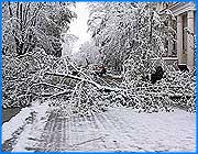 ></p><p class=c_tn></p><p class=c_tn>Снег и дождь стали настоящим испытанием для Иванова. Осадки буквально парализовали движение транспорта, а упавшие под тяжестью снега деревья стали причиной многочисленных обрывов на линиях электропередач. Упавшие деревья на Октябрьской улице перегородили проезд сразу в двух местах. Старые ясени  не устояли под тяжестью снега. Теперь их должны распилить и убрать, а пока автолюбители объезжают бурелом по тротуару. Коммунальщики на этой же улице заняты откачкой воды и уборкой листьев. Как выяснилось, десять 10 снега не помеха для такого занятия.</p><p class=c_tn>На проспекте Ленина напротив городского Центра культуры и отдыха под грузом упавших веток где-то провисли, а где-то и вовсе оборвались телефонные и электропровода. И это только один случай из десятков таких же. За сутки добрая половина Иванова почувствовала перебои с электроэнергией.  Проще перечислить, на каких улицах электроэнергию не отключали. Ещё одна проблема - заторы на дорогах.  Днём во вторник на улицах Иванова, судя по отчётам, на уборке снега было занято 18 единиц техники. Между тем, люди по полчаса не могли уехать со своей остановки.</p><p class=c_tn>Осадки отчасти стали причиной роста числа нарушений на дорогах. Только в понедельник в Иванове их было зарегистрировано около 300. В целом октябрьский снегопад стал не только сюрпризом, но и достаточно серьезным испытанием как для городских служб, так и для рядовых ивановцев. Немного утешают синоптики - к пятнице температура воздуха прогреется до 11 градусов. До следующего похолодания будет шанс прийти в полную боевую готовность. </p><p class=c_tn></p><p class=c_tn></p><p class=c_tn></p><p class=c_av>Наталья Мозилова</p>
	
	    <div class=