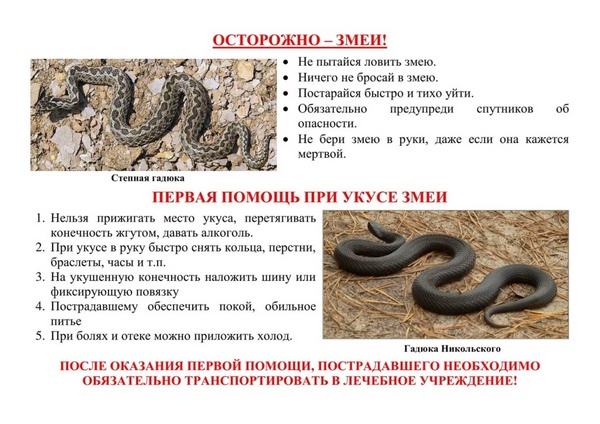 2.jpg 2.jpg
