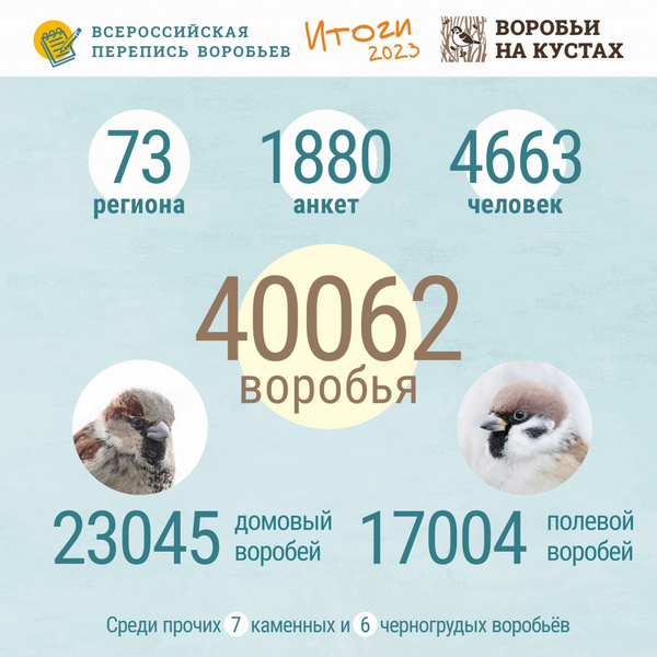 2.jpg 2.jpg