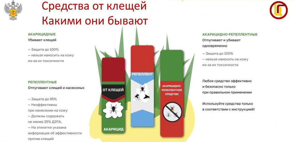 2.jpg 2.jpg