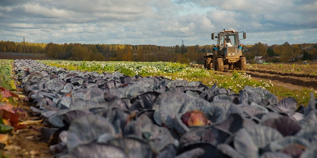 В Ивановской области стартовала уборочная кампания