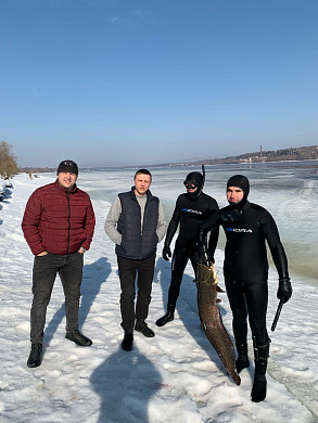 Подводный охотник из Шуи добыл на Волге гигантского сома