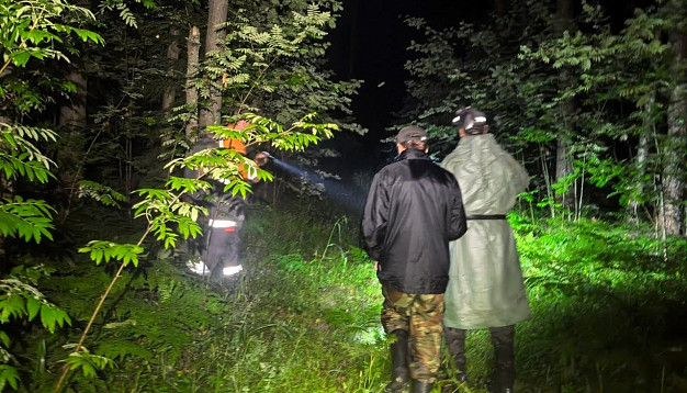 Заряженный телефон помог 64-летнему грибнику выйти из леса