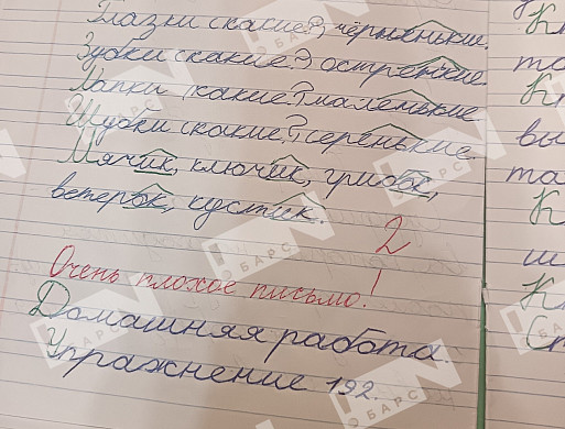 В Иванове девочку затравили в школе до псориаза и невроза