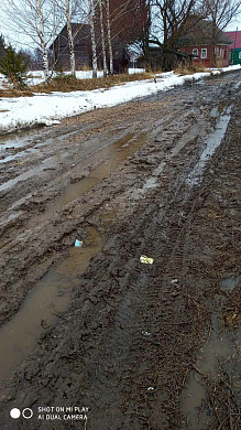В Пучежском районе селяне жалуются на бездорожье, отсутствие света и воды