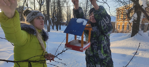  В Шуе открылось кафе для птиц 