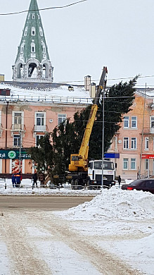  На главной площади города Тейково установят живую елку 