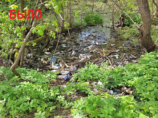  В Иванове из Варгинского оврага вывезли 40 мешков мусора 