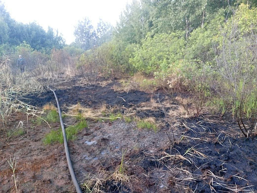  В Южском районе начались возгорания травы и торфяного настила 