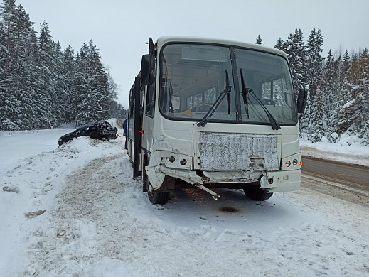 На трассе в Ивановской области автобус жестко смял легковушку
