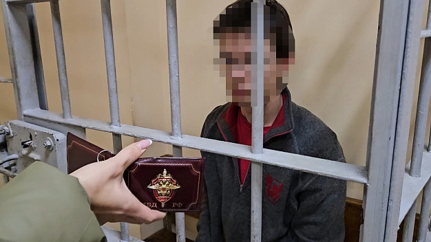 Юный курьер мошенников, забравший 7 млн у матери погибшего бойца СВО, получил срок