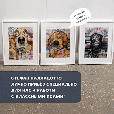 В Иванове покажут «Жизнь домашних питомцев»