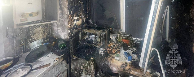  В Иванове закоротившая микроволновка чуть не погубила супружескую пару 