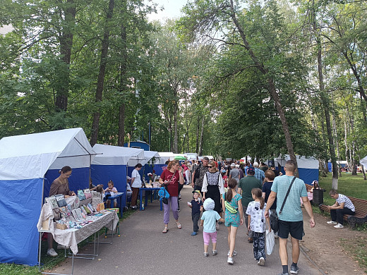 В Иванове прошел фестиваль многодетных семей «Добрый аист»