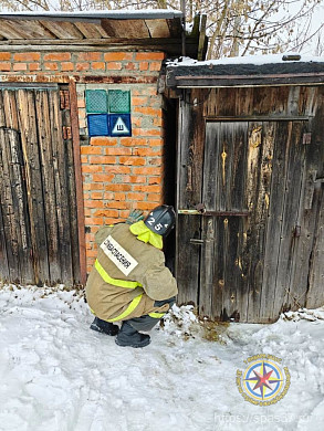 В Юрьевце спасатели бензопилой освободили из западни собаку
