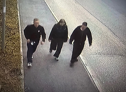  Поджог в гаражном кооперативе: полиция разыскивает компанию молодых людей 