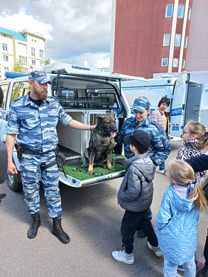 Ивановцам показали изъятое оружие преступников