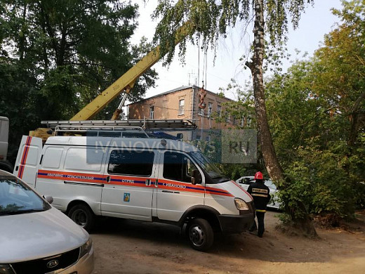 На машину в центре Иванова упало дерево 
