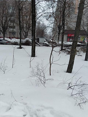 Снег рядом с проезжей частью не нравится прохожим