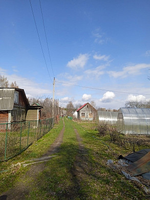 30 садовых домов в Богородском никак не подключат к электросети 