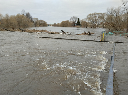 В Холуе под воду уходят приусадебные участки 