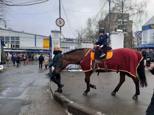 В Иванове лошадники эксплуатируют труд детей