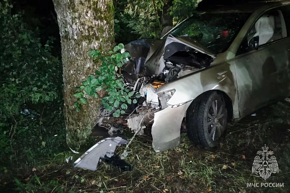 В Фурманове автомобиль врезался в дерево, пострадали двое 