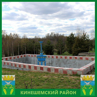 900 деревьев высадил житель Кинешемского района в память о блокаде Ленинграда