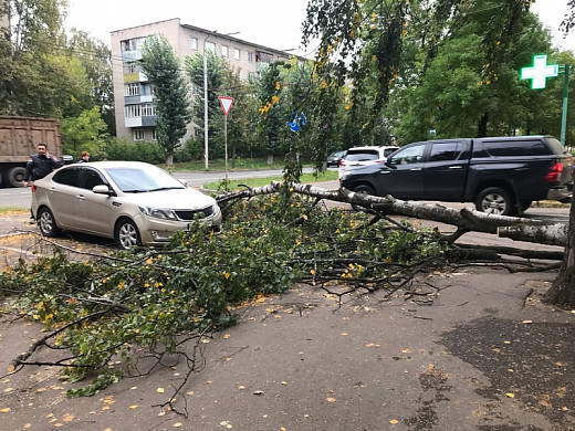  В Иванове ликвидируют последствия сильного ветра 