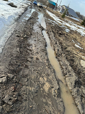 Дорогу в деревне Куликово в этом году не отремонтируют