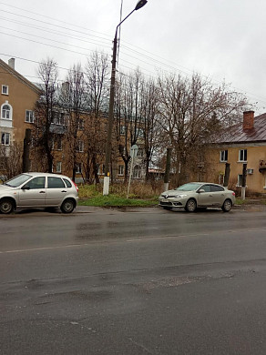 В Шуе горожане возмущены варварским кронированием 
