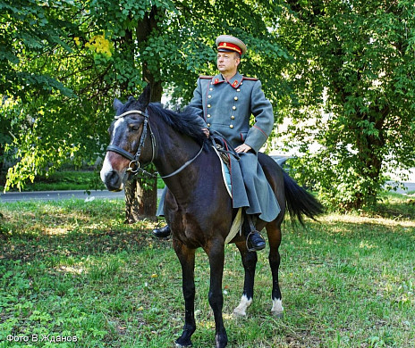 В Ивановской области «собирают памятник» из живых людей и коня