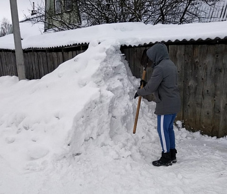 Приют «ЗОО37» просит помочь с вывозом снега
