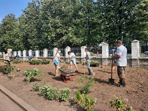  В Иванове школы и детские сады вырастили цветники к новому учебному году 