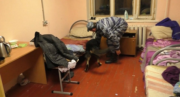  В Иванове полиция выявила незаконных мигрантов 