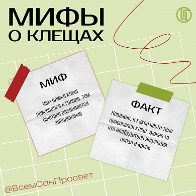 Укусы клещей в Ивановской области сходят на нет