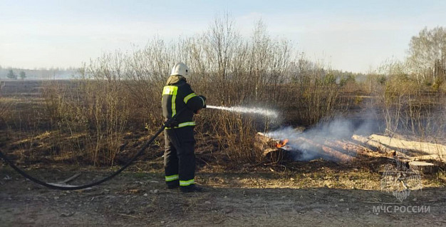 В Ивановской области горели сараи, бани, трава, квартира и опора ЛЭП