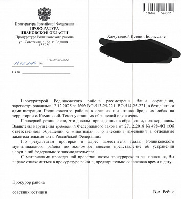 В Каминском стая собак терроризирует жителей